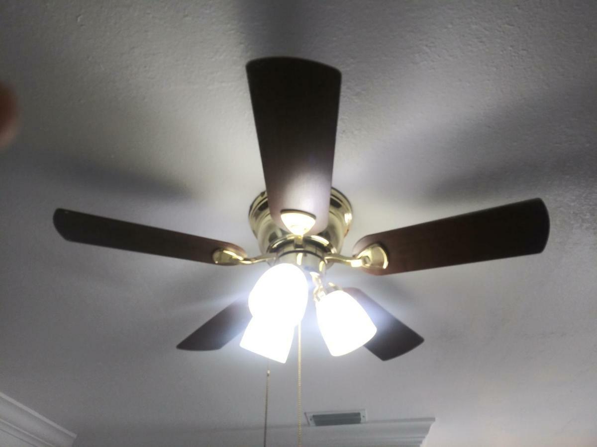 Apartament Tampa Citrus Park Zewnętrze zdjęcie
