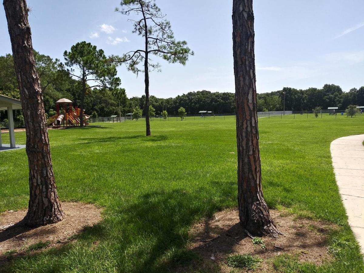 Apartament Tampa Citrus Park Zewnętrze zdjęcie