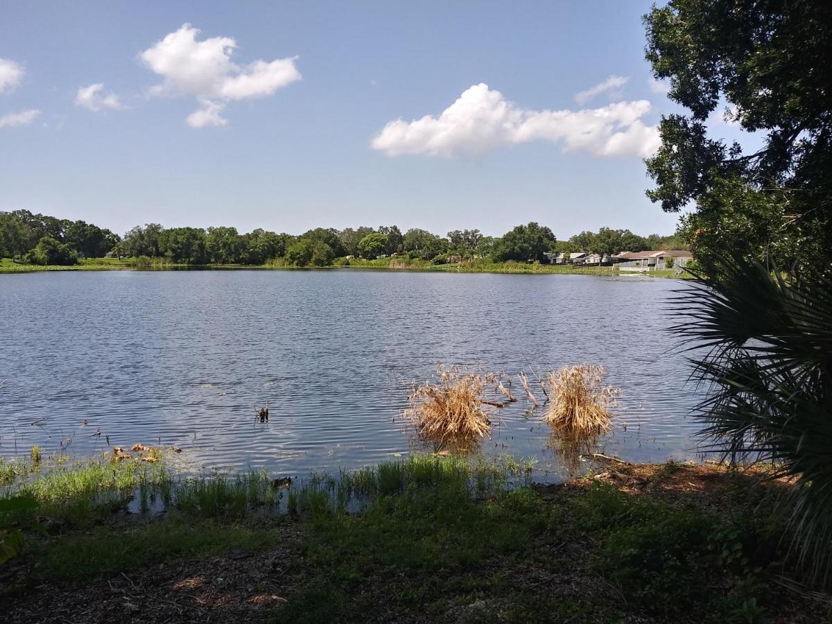 Apartament Tampa Citrus Park Zewnętrze zdjęcie